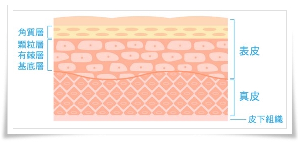 50��̃X�L���P�A�Ƀ��\�E�́y���y�A�W�F���z�������g���C�A��